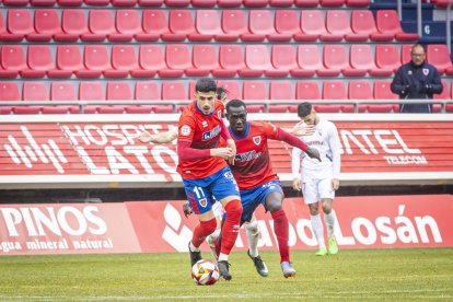Los Pajaritos vuelven a sonreir con el CD Numancia