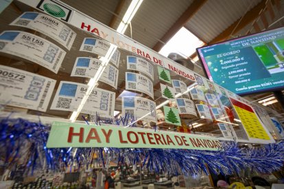 Así se vivió el sorteo de la Lotería de Navidad en Soria
