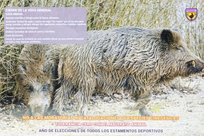 Las fotografías de animales incluyen indicaciones para los cazadores