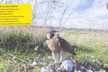 Las fotografías de animales incluyen indicaciones para los cazadores