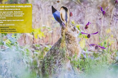 Las fotografías de animales incluyen indicaciones para los cazadores