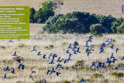 Las fotografías de animales incluyen indicaciones para los cazadores
