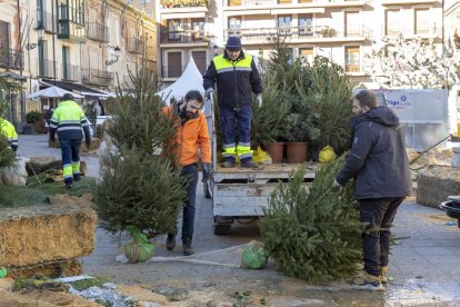 El desmontaje del belén pone fin a la navidad