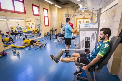 Los amarillos son líderes intratables