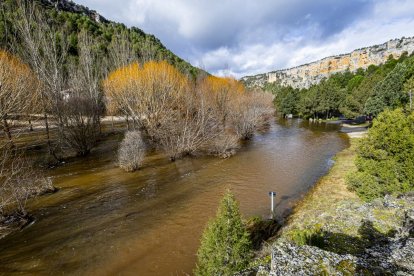 Las aguas se salen de su cauce en la zona del Cañón del río Lobos