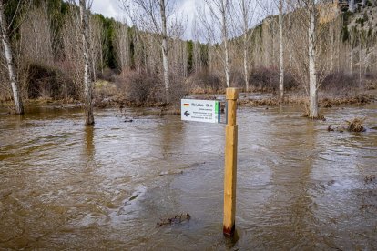 Las aguas se salen de su cauce en la zona del Cañón del río Lobos