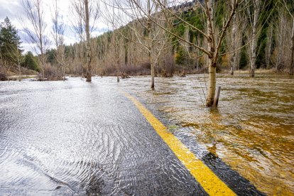 Las aguas se salen de su cauce en la zona del Cañón del río Lobos