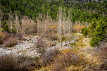 Las aguas se salen de su cauce en la zona del Cañón del río Lobos