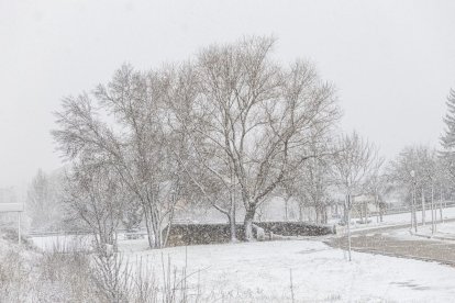 Estampas invernales