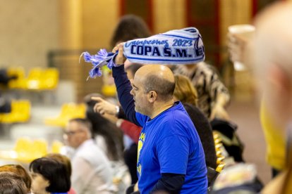 Buen voleibol el desplegado por los celestes de Soria