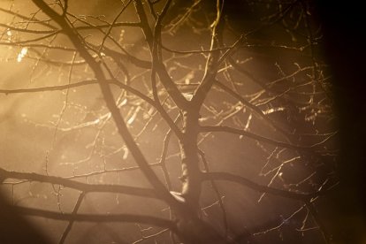 Los restos de nieve y la niebla coincidieron en la noche capitalina