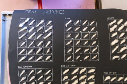 Detalles de los trabajos que están realizando los restauradores