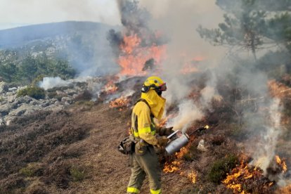 Quema controlada en Cebollera para mejora de hábitats y prevención de incendios.
