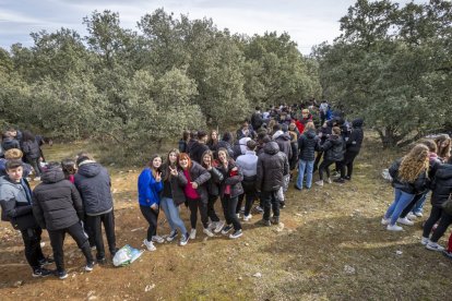 Los jóvenes disfrutan de la mañana en Los Royales