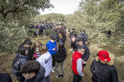 Los jóvenes disfrutan de la mañana en Los Royales