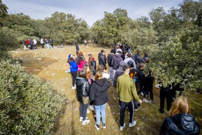 Los jóvenes disfrutan de la mañana en Los Royales