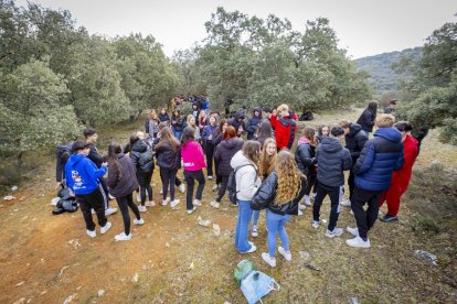 Los jóvenes disfrutan de la mañana en Los Royales