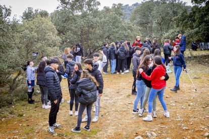 Los jóvenes disfrutan de la mañana en Los Royales