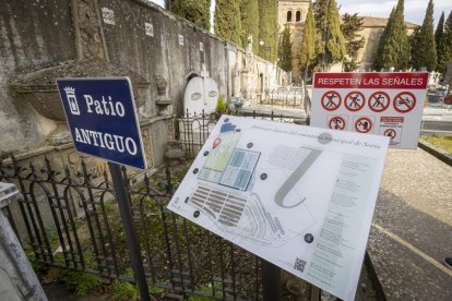 Ofrendas florales y poemas para recordar