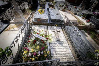 Ofrendas florales y poemas para recordar