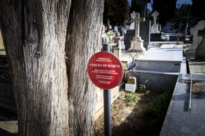 Ofrendas florales y poemas para recordar