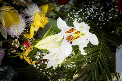 Ofrendas florales y poemas para recordar