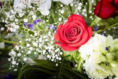 Ofrendas florales y poemas para recordar