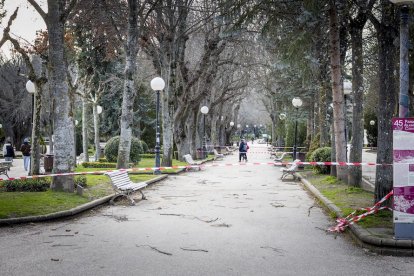Cortes en la Dehesa por caída de ramas