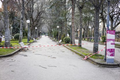 Cortes en la Dehesa por caída de ramas