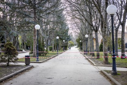 Cortes en la Dehesa por caída de ramas