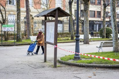 Cortes en la Dehesa por caída de ramas