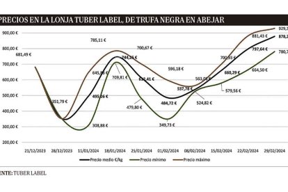 Evolución del precio de la trufa negra en las diez subastas.