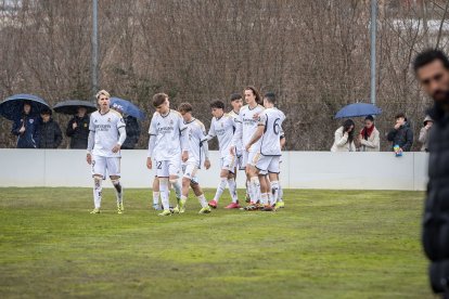 El Numancia Juvenil sucumbe ante el Real Madrid.
