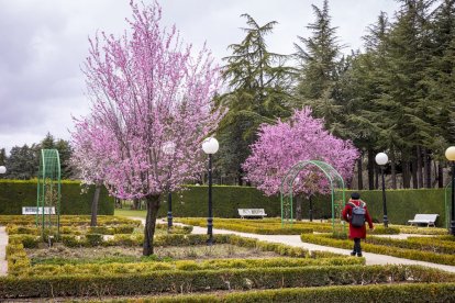 Flores por el estallido de la primavera en pleno marzo