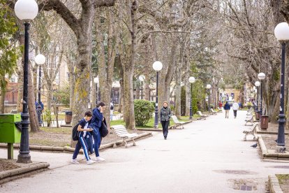 Flores por el estallido de la primavera en pleno marzo
