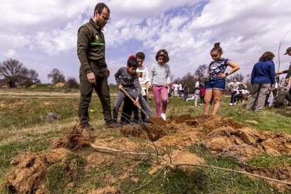 El PEMA de Garray fue el lugar elegido para la plantación en el Día de los Bosques