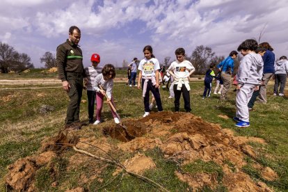 El PEMA de Garray fue el lugar elegido para la plantación en el Día de los Bosques