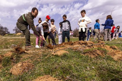 El PEMA de Garray fue el lugar elegido para la plantación en el Día de los Bosques