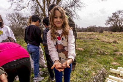 El PEMA de Garray fue el lugar elegido para la plantación en el Día de los Bosques