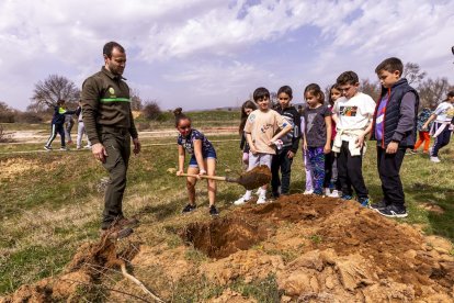 El PEMA de Garray fue el lugar elegido para la plantación en el Día de los Bosques