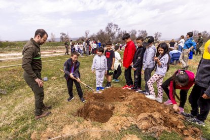 El PEMA de Garray fue el lugar elegido para la plantación en el Día de los Bosques