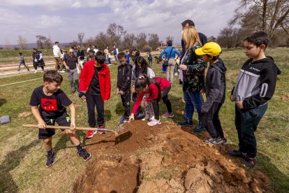 El PEMA de Garray fue el lugar elegido para la plantación en el Día de los Bosques