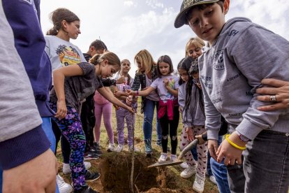 El PEMA de Garray fue el lugar elegido para la plantación en el Día de los Bosques