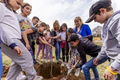 El PEMA de Garray fue el lugar elegido para la plantación en el Día de los Bosques