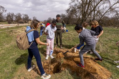El PEMA de Garray fue el lugar elegido para la plantación en el Día de los Bosques