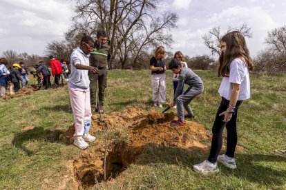 El PEMA de Garray fue el lugar elegido para la plantación en el Día de los Bosques