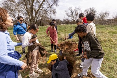 El PEMA de Garray fue el lugar elegido para la plantación en el Día de los Bosques