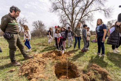 El PEMA de Garray fue el lugar elegido para la plantación en el Día de los Bosques