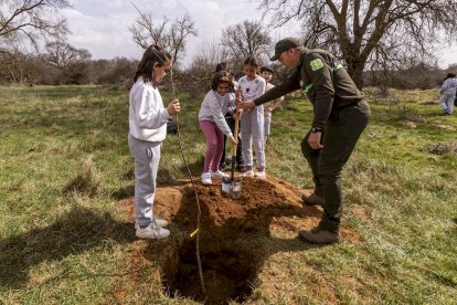 El PEMA de Garray fue el lugar elegido para la plantación en el Día de los Bosques