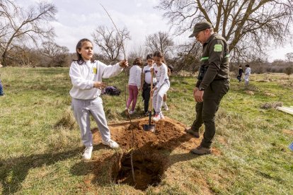 El PEMA de Garray fue el lugar elegido para la plantación en el Día de los Bosques